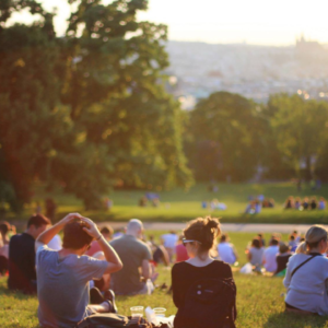 الاستشارات الاجتماعية العامة